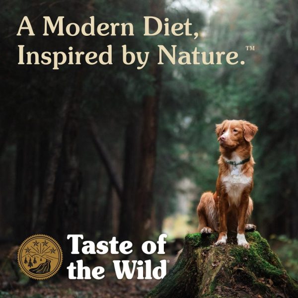 Taste of the Wild Ancient Mountain with Ancient Grains Dry Dog Food Online now - Image 5