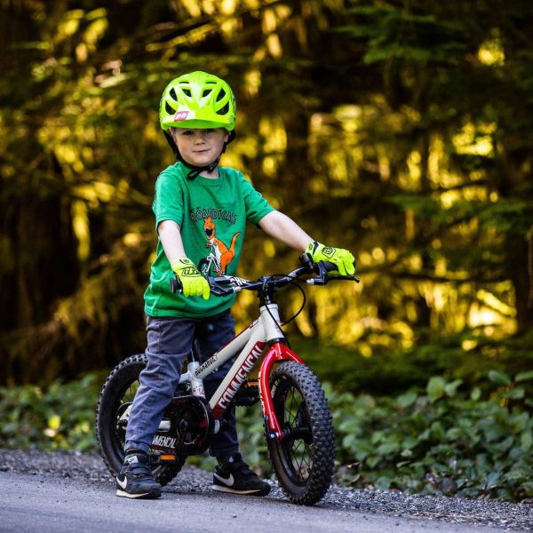 Taj Mihelich x Pinkbike Youth Dinobike T-Shirt For Cheap - Image 3