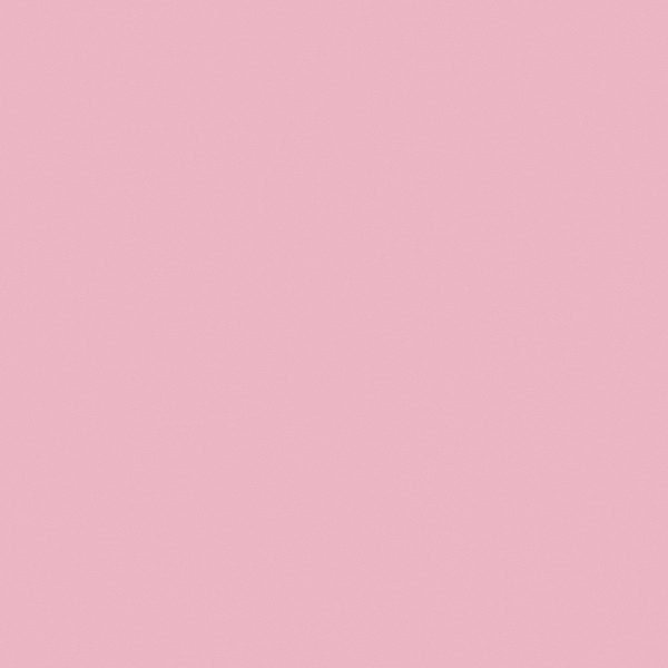 FLAMINGO - Smooth 12x12 Cardstock - Lessebo Colors Online Hot Sale