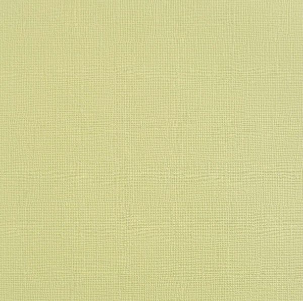 SUGAR COOKIE - Textured 12x12 Cardstock - Encore Paper Online