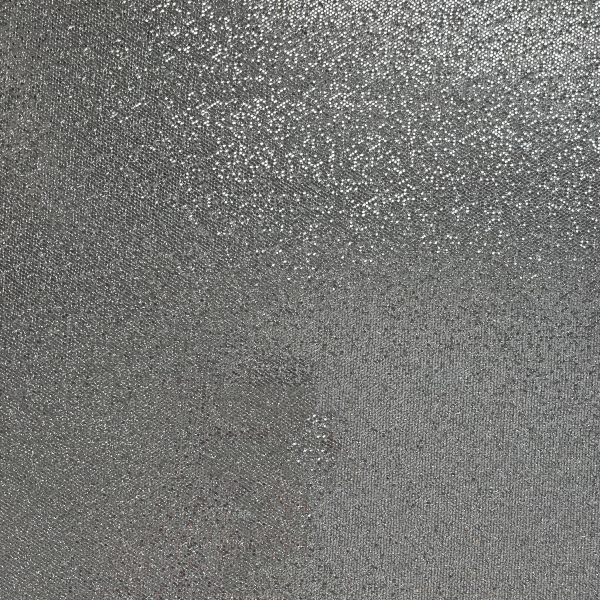 SILVER COINS Sequin Glitter Cardstock - Encore Paper Sale