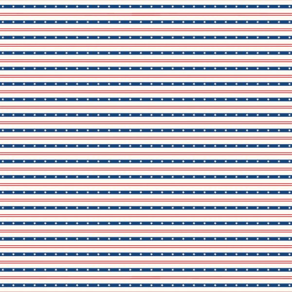 AMERICA 4X4 JOURNALING CARDS - 12x12 Double-Sided Patterned Paper - Echo Park For Discount - Image 2