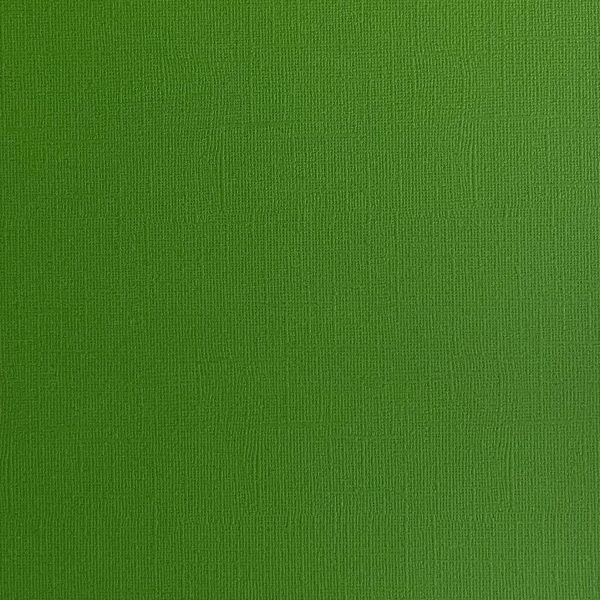 DILL PICKLE - Textured 12x12 Cardstock - Encore Paper on Sale
