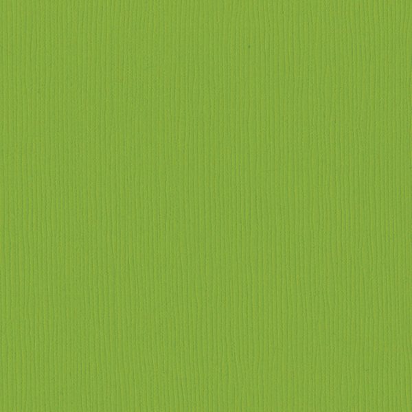 INTENSE KIWI – Bazzill Fourz 12x12 Cardstock Supply
