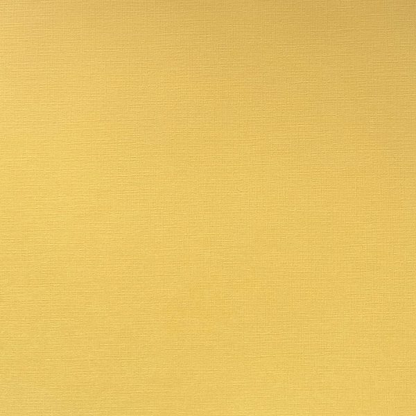 TUSCAN SUN - Textured 12x12 Cardstock - My Colors Cheap