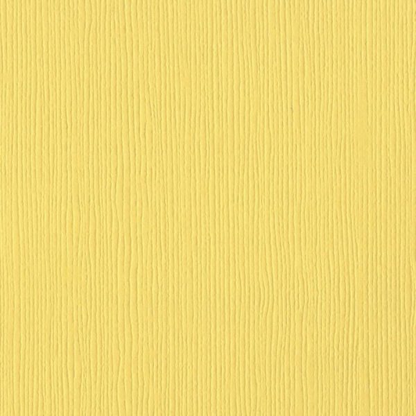 AFRICAN DAISY – Bazzill Fourz 12x12 Cardstock Supply