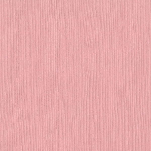 FUSSY – Bazzill Fourz 12x12 Cardstock For Discount