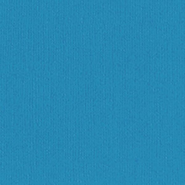 PAULY POO – Bazzill Mono 12x12 Cardstock Online now