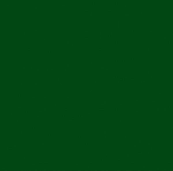 DARK GREEN SILVER FOIL DOT - Dots & Stripes 12x12 Cardstock Echo Park on Sale - Image 2